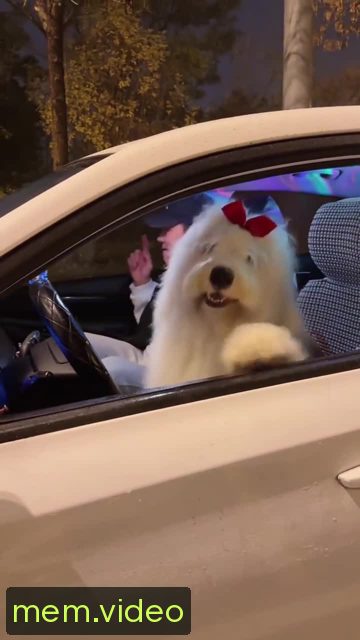 Кадр на 0:02