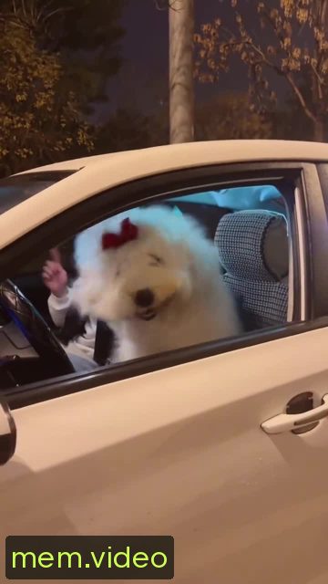 Кадр на 0:03