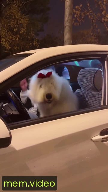 Кадр на 0:07