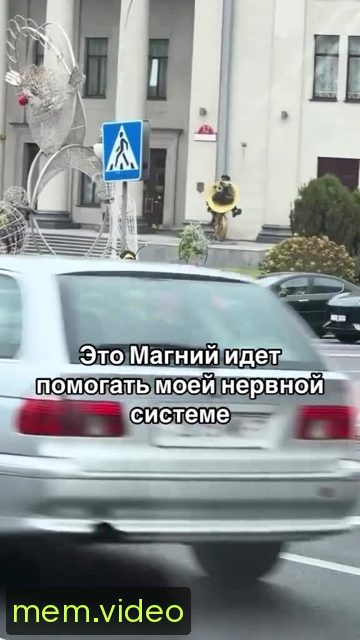 Кадр на 0:00