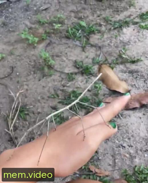 Кадр на 0:02