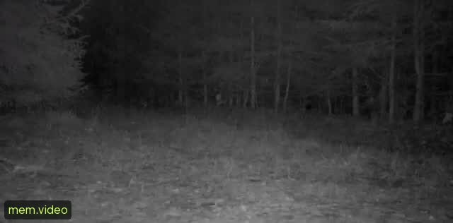 Кадр на 0:03