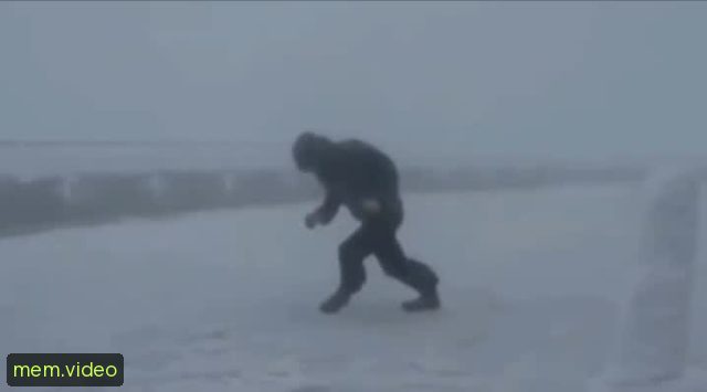Кадр на 0:12