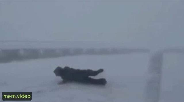 Кадр на 0:28