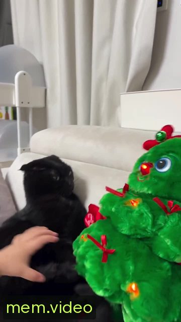 Кадр на 0:03