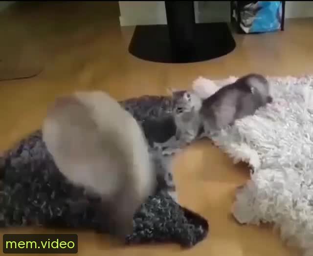Кадр на 0:01