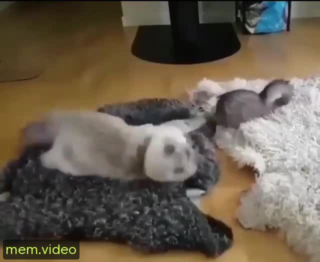 Кадр на 0:01
