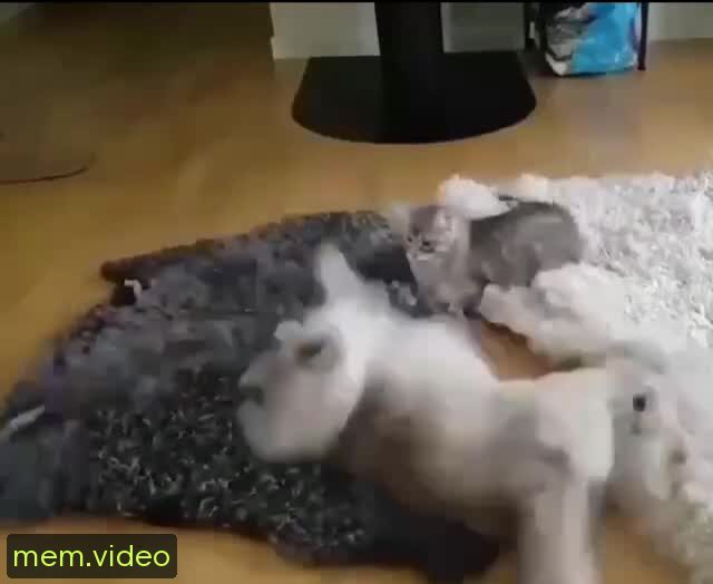 Кадр на 0:02