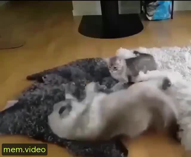 Кадр на 0:02