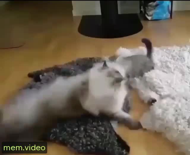 Кадр на 0:03
