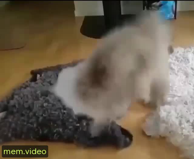 Кадр на 0:03
