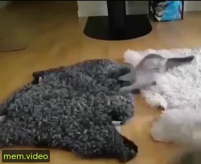 Кадр на 0:04