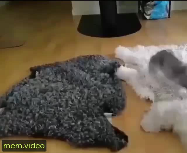 Кадр на 0:04