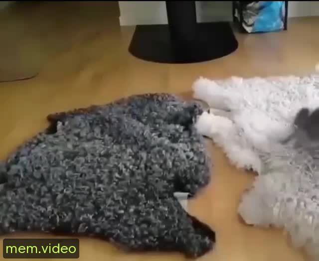 Кадр на 0:04