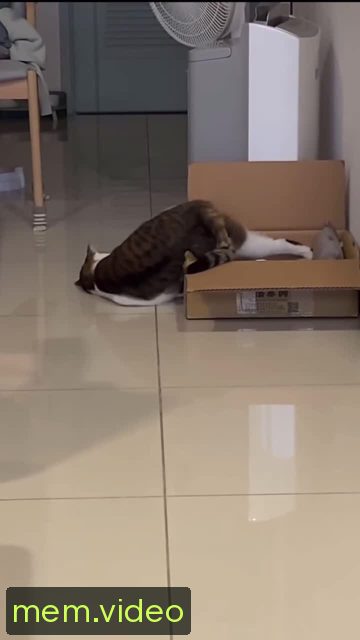 Кадр на 0:03