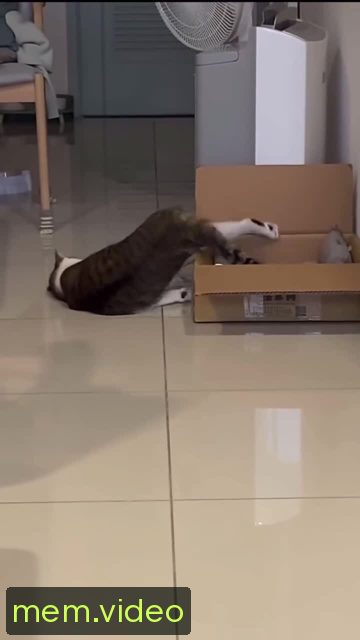 Кадр на 0:04