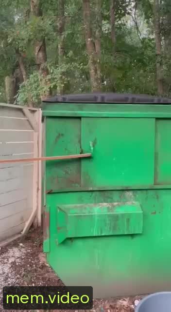 Кадр на 0:00
