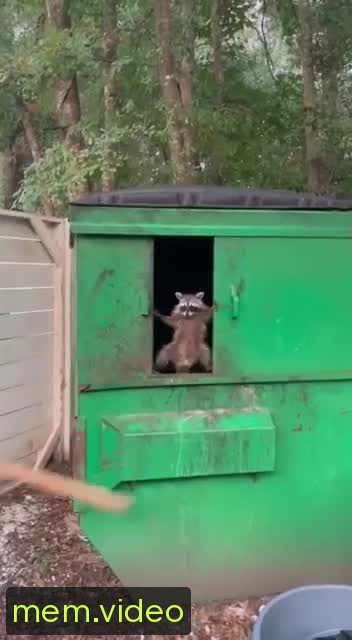 Кадр на 0:01