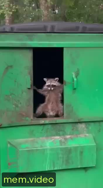 Кадр на 0:05