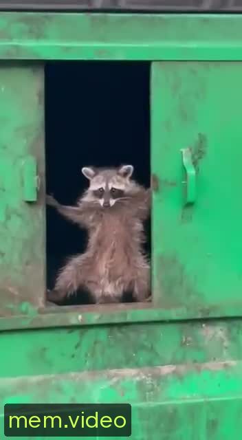 Кадр на 0:06