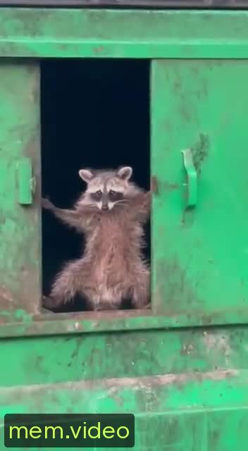 Кадр на 0:07