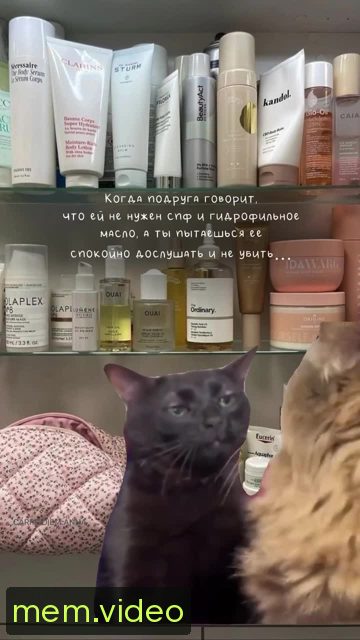 Кадр на 0:05
