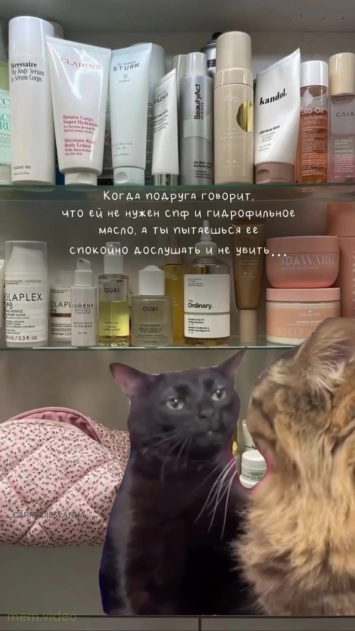 Кадр: Черный кот невозмутимо слушает кричащего кота