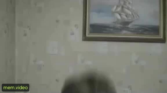 Кадр на 0:00