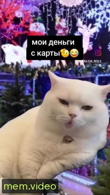 Кадр на 0:00