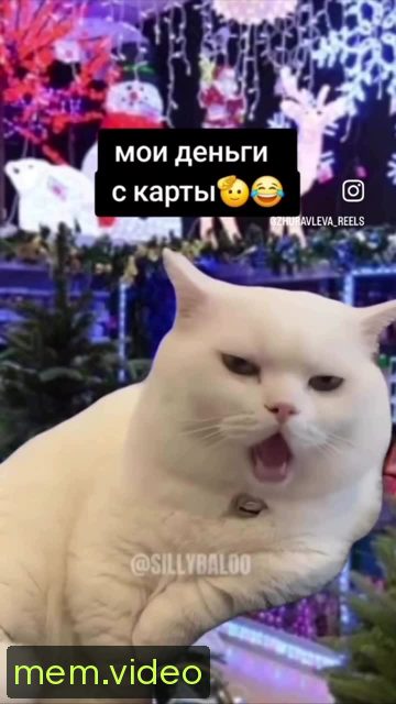 Кадр на 0:03