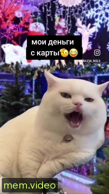Кадр на 0:03