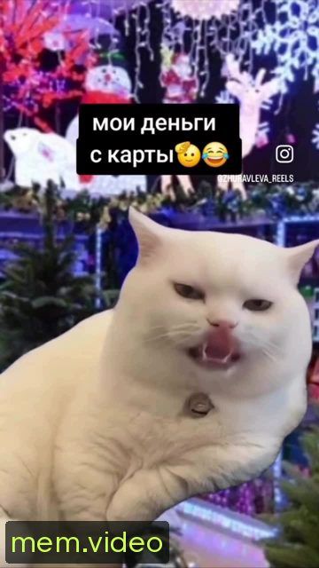 Кадр на 0:04