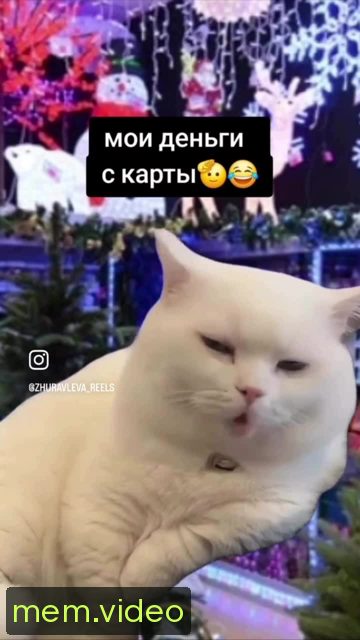 Кадр на 0:06