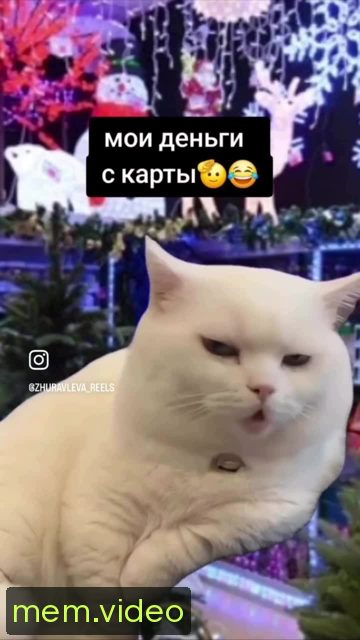 Кадр на 0:07
