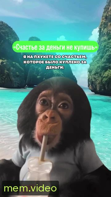 Кадр на 0:00