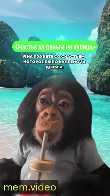 Кадр на 0:00