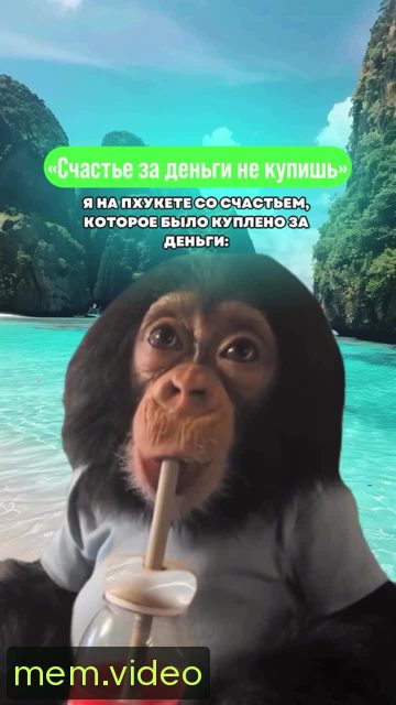 Кадр на 0:04