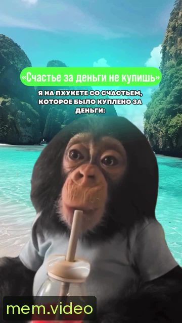 Кадр на 0:05