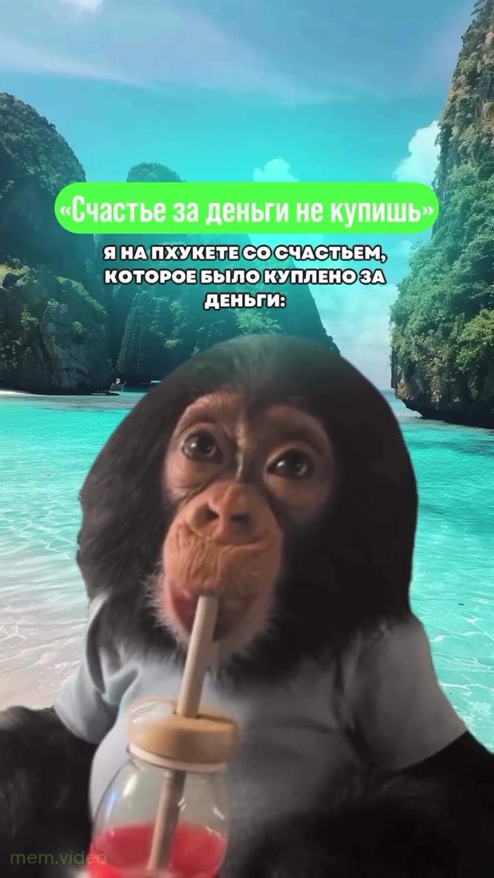 Кадр: Обезьяна пьет коктейль через трубочку на отдыхе