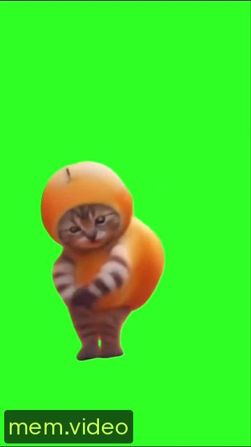 Кадр на 0:08