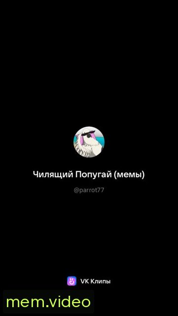 Кадр на 0:11