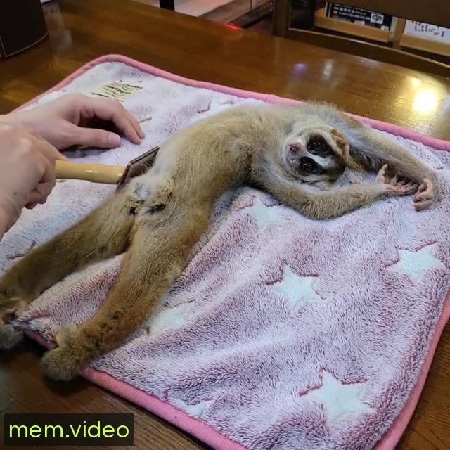 Кадр на 0:00