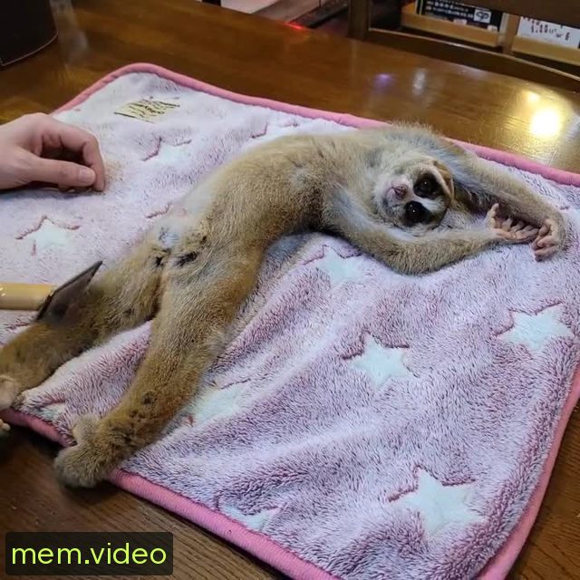 Кадр на 0:02