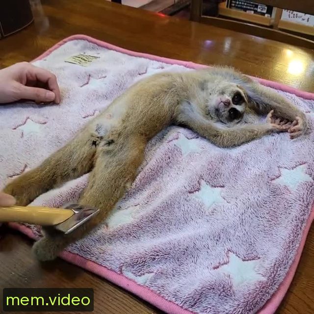 Кадр на 0:05