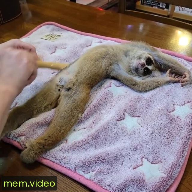 Кадр на 0:06