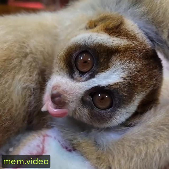 Кадр на 0:23