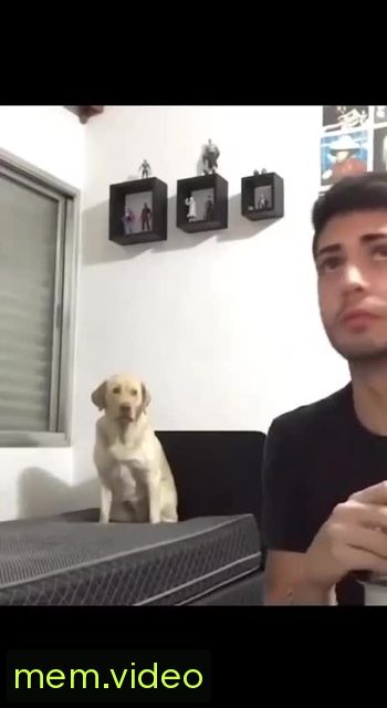 Кадр на 0:01