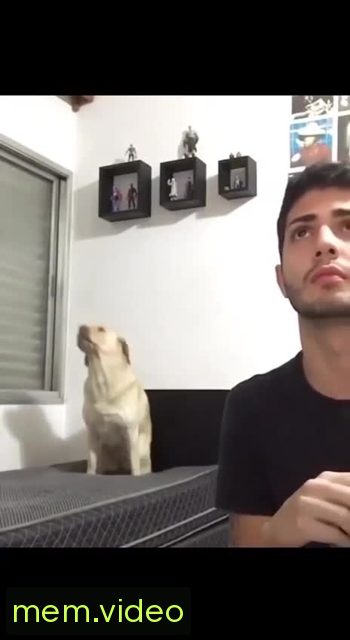 Кадр на 0:02
