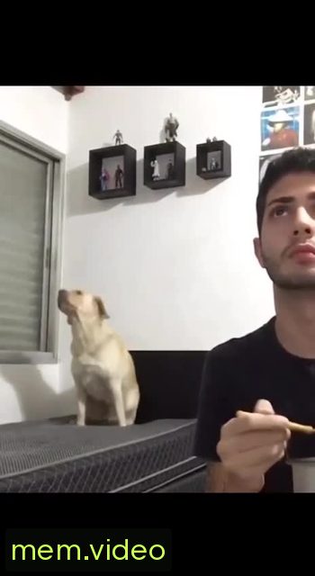 Кадр на 0:03