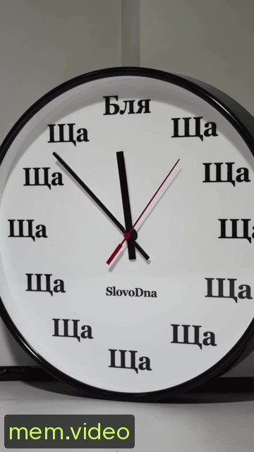 Кадр на 0:08